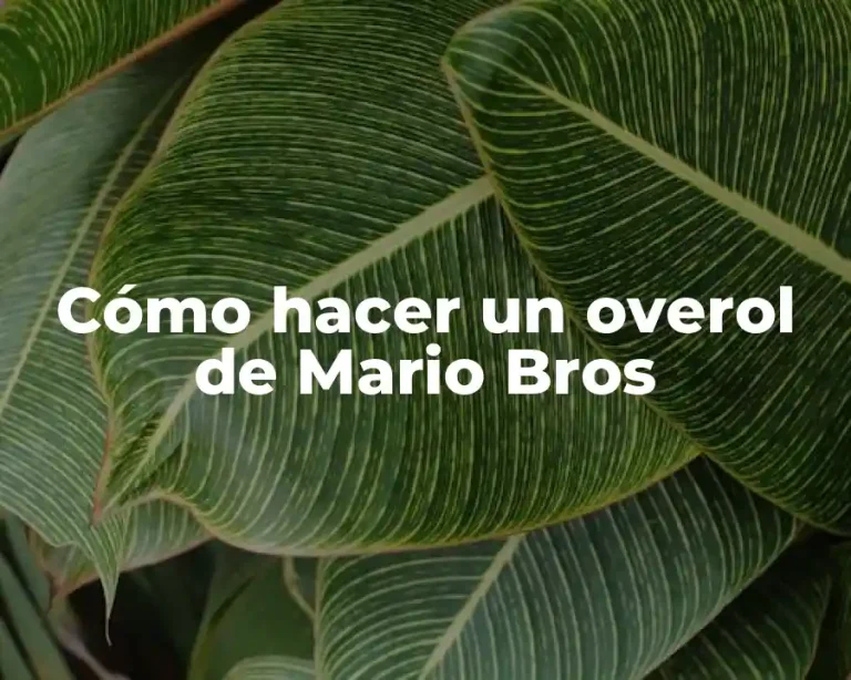 Cómo hacer un overol de Mario Bros