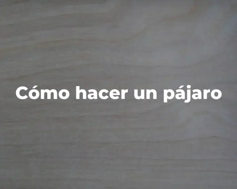 Cómo hacer un pájaro