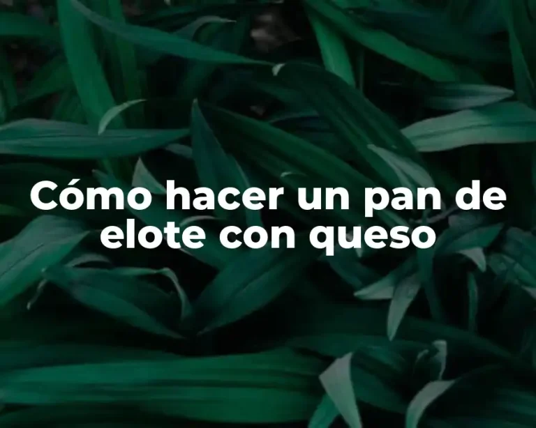 Cómo hacer un pan de elote con queso