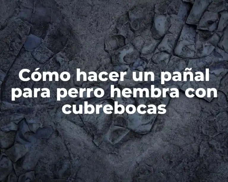 Cómo hacer un pañal para perro hembra con cubrebocas