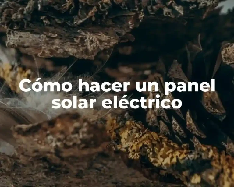Cómo hacer un panel solar eléctrico