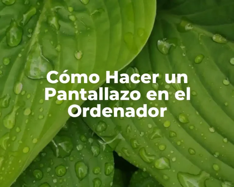 Cómo Hacer un Pantallazo en el Ordenador