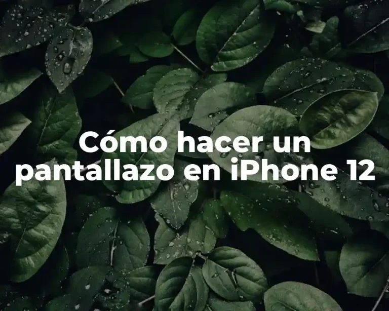 Cómo hacer un pantallazo en iPhone 12