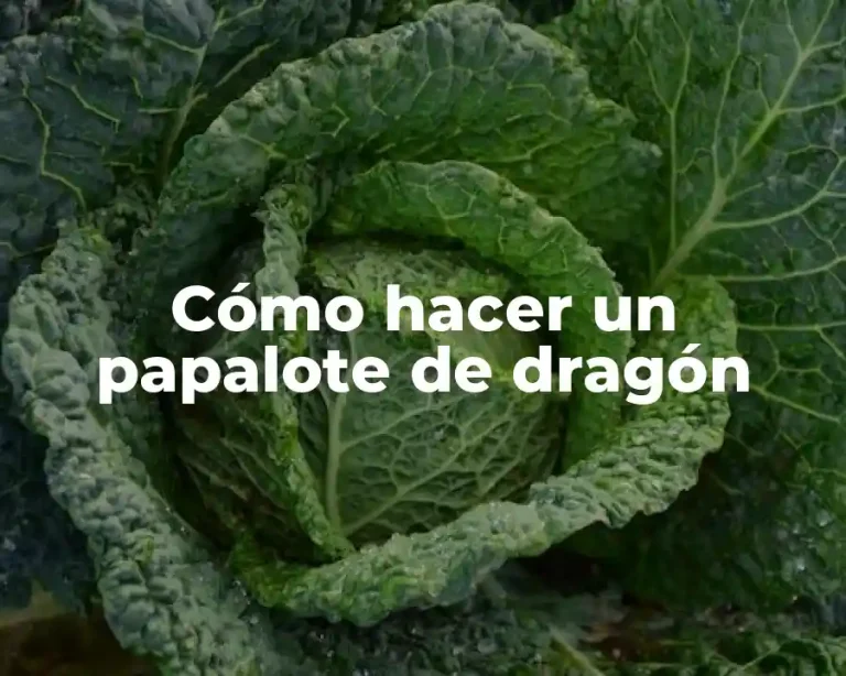 Cómo hacer un papalote de dragón