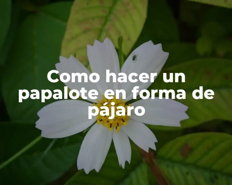 Como hacer un papalote en forma de pájaro