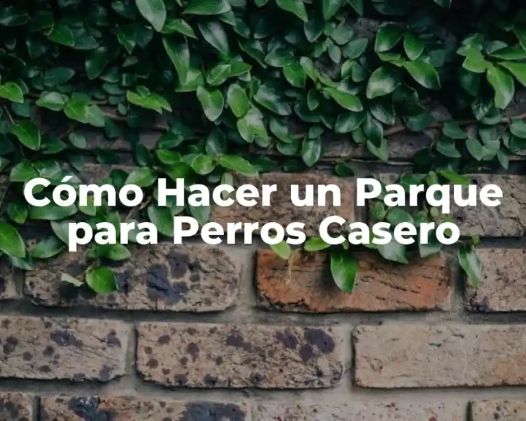 Cómo Hacer un Parque para Perros Casero