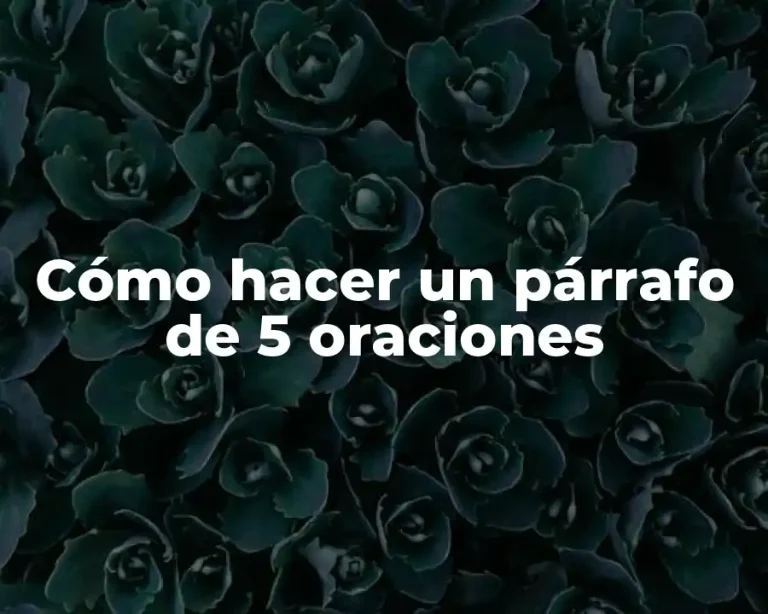 Cómo hacer un párrafo de 5 oraciones