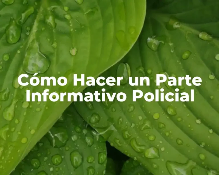 Cómo Hacer un Parte Informativo Policial
