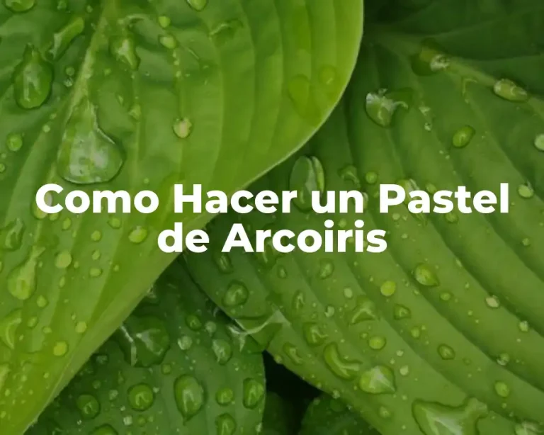Como Hacer un Pastel de Arcoiris