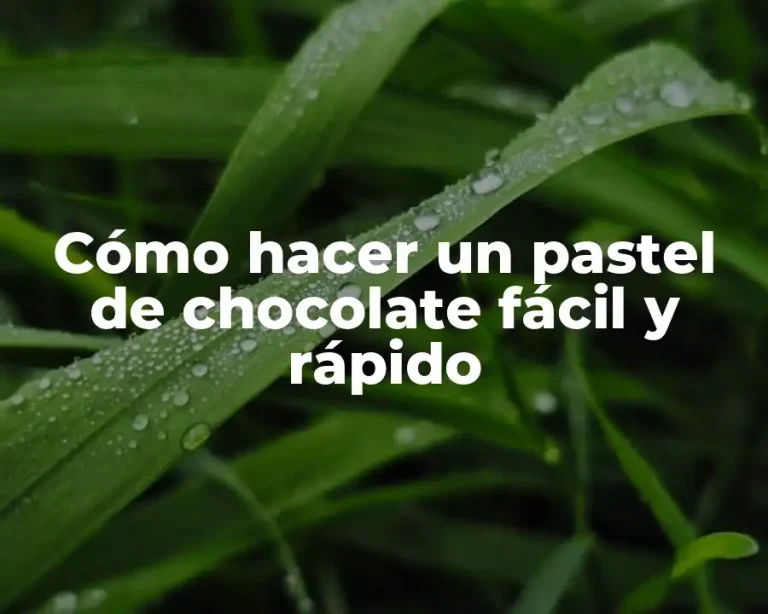 Cómo hacer un pastel de chocolate fácil y rápido
