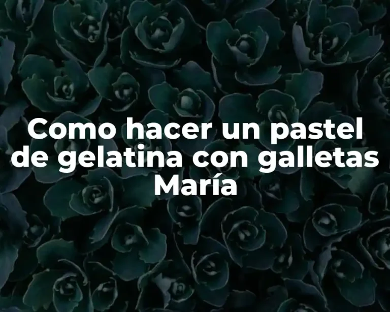 Como hacer un pastel de gelatina con galletas María