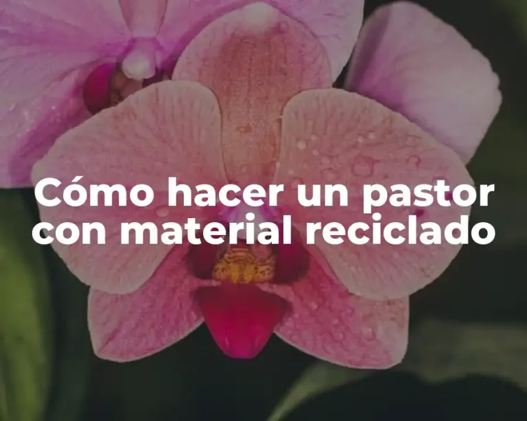 Cómo hacer un pastor con material reciclado