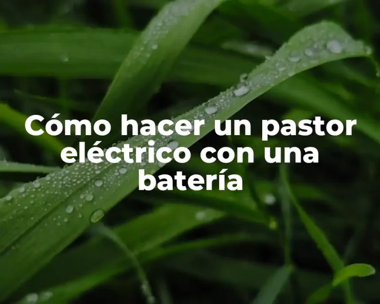 Cómo hacer un pastor eléctrico con una batería