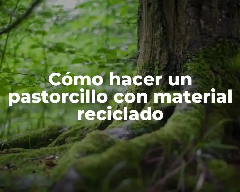 Cómo hacer un pastorcillo con material reciclado