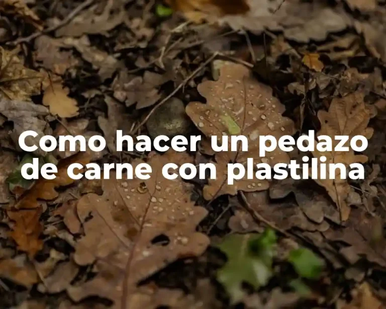 Como hacer un pedazo de carne con plastilina