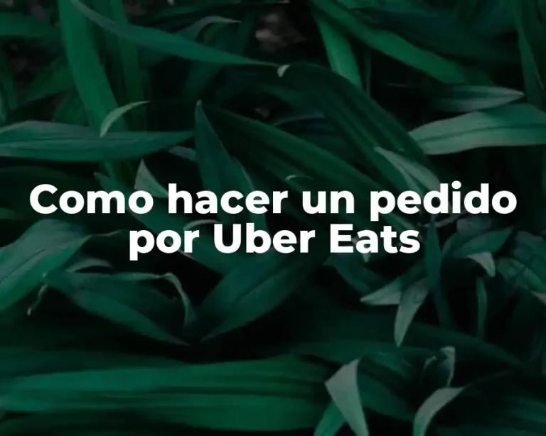 Como hacer un pedido por Uber Eats