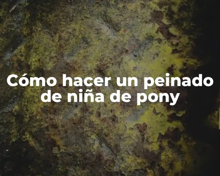 Cómo hacer un peinado de niña de pony