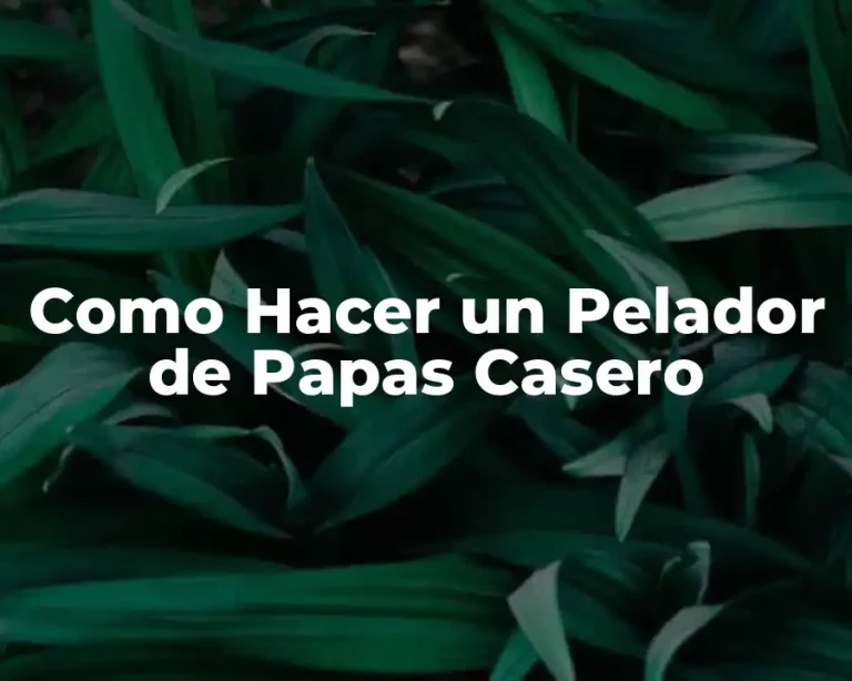 Como Hacer un Pelador de Papas Casero