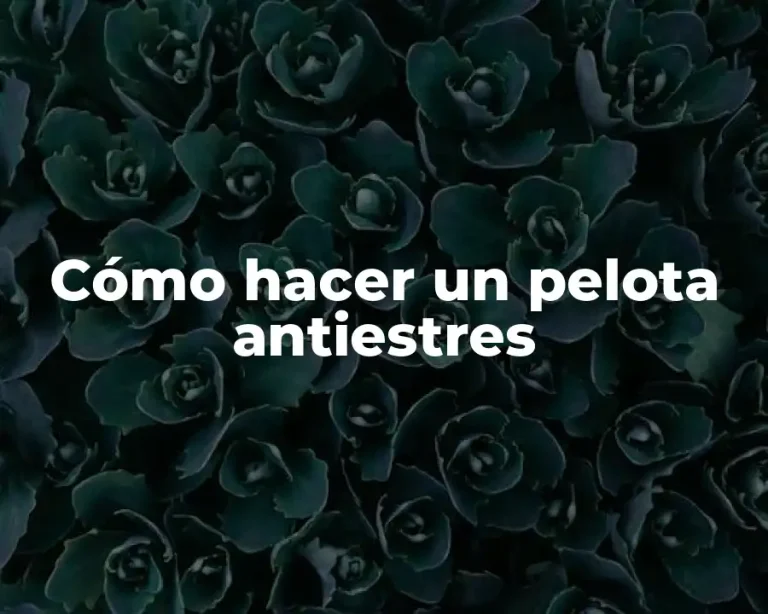 Cómo hacer un pelota antiestres