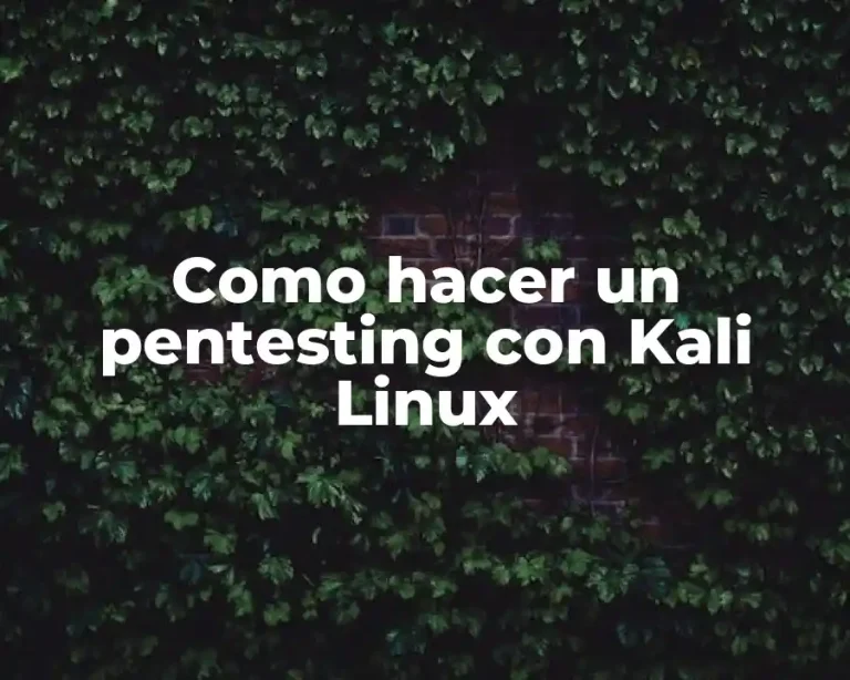 Como hacer un pentesting con Kali Linux