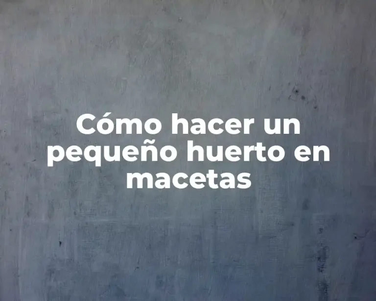 Cómo hacer un pequeño huerto en macetas