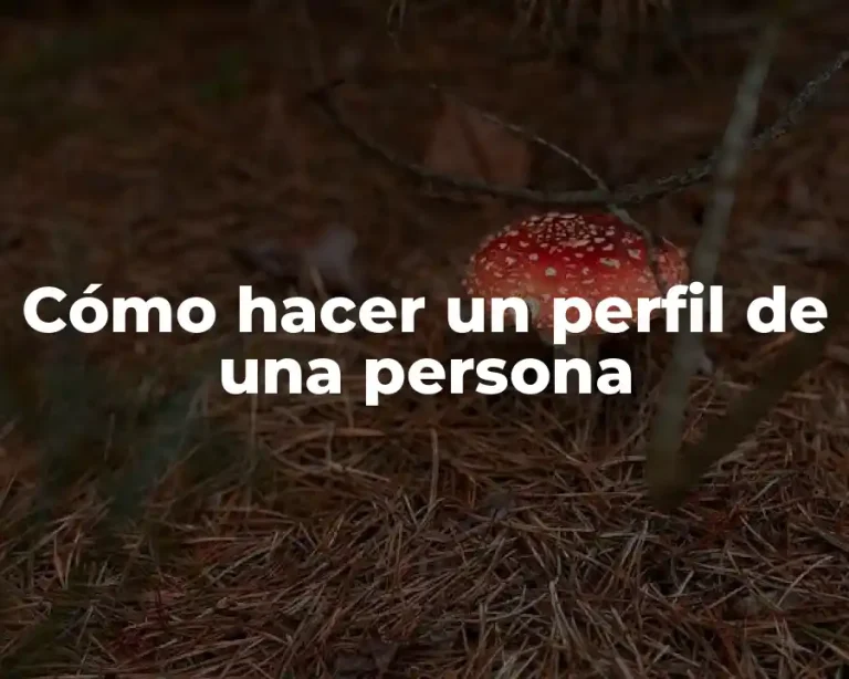 Cómo hacer un perfil de una persona