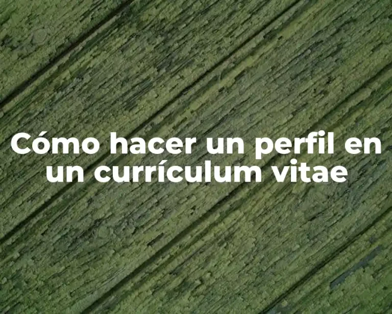 Cómo hacer un perfil en un currículum vitae
