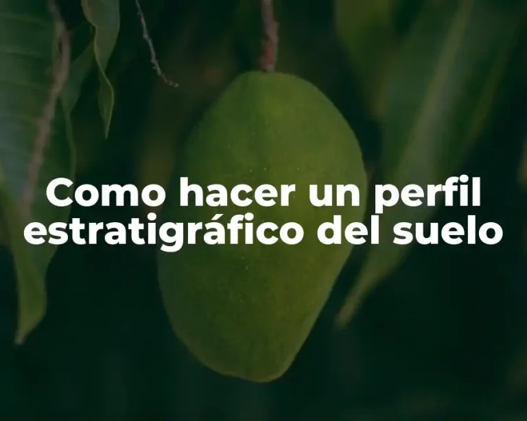 Como hacer un perfil estratigráfico del suelo