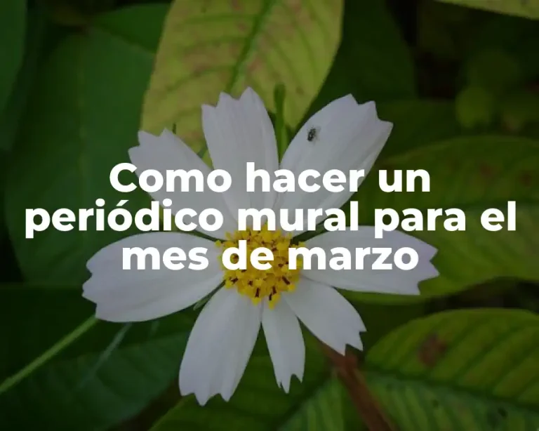 Como hacer un periódico mural para el mes de marzo