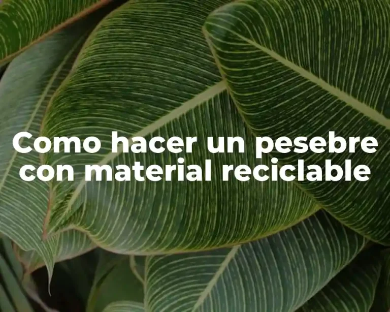 Como hacer un pesebre con material reciclable