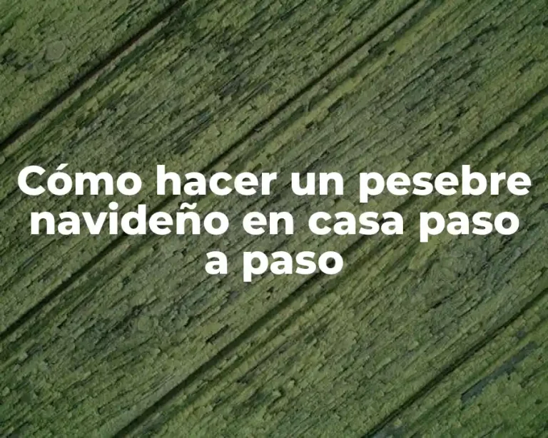 Cómo hacer un pesebre navideño en casa paso a paso