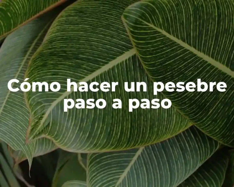 Cómo hacer un pesebre paso a paso