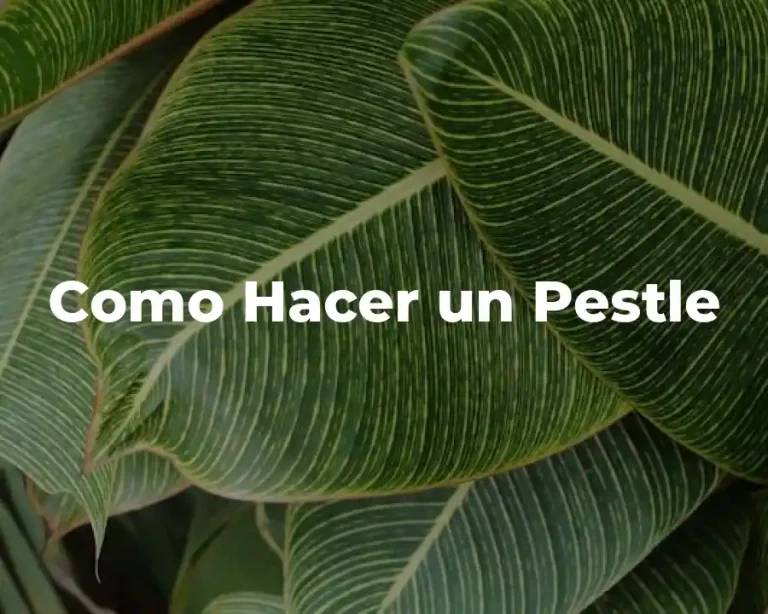 Como Hacer un Pestle