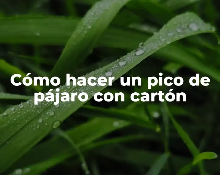 Cómo hacer un pico de pájaro con cartón