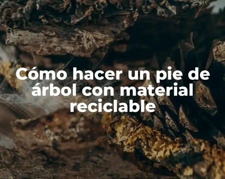 Cómo hacer un pie de árbol con material reciclable