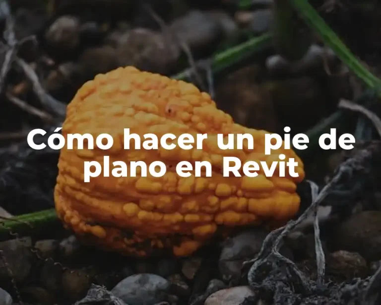 Cómo hacer un pie de plano en Revit