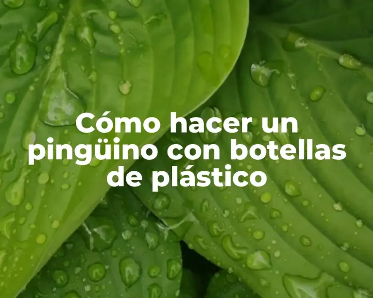 Cómo hacer un pingüino con botellas de plástico