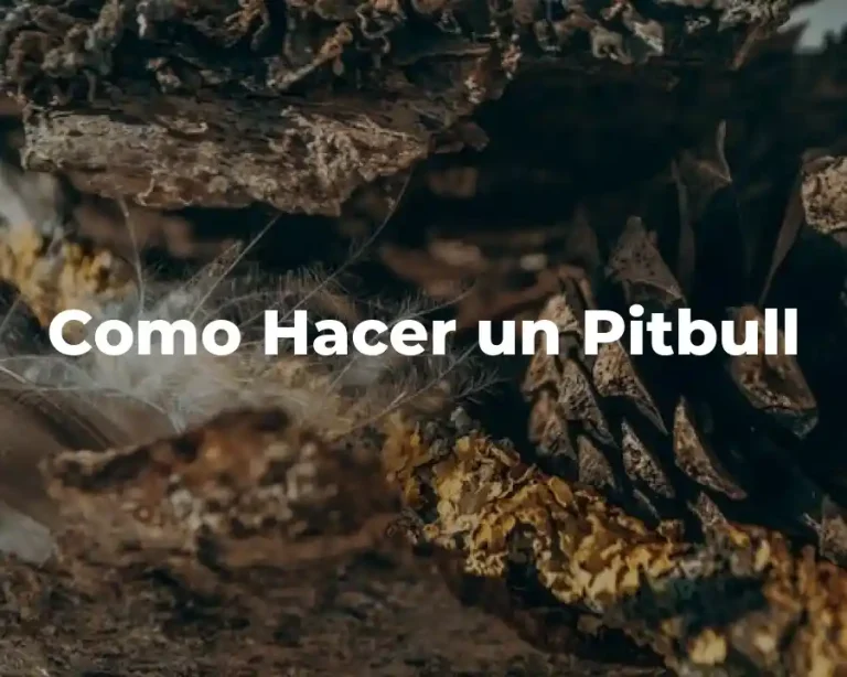 Como Hacer un Pitbull