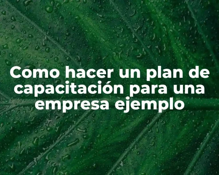 Como hacer un plan de capacitación para una empresa ejemplo