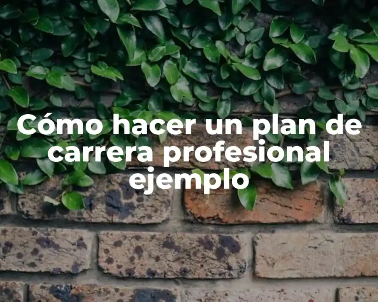 Cómo hacer un plan de carrera profesional ejemplo