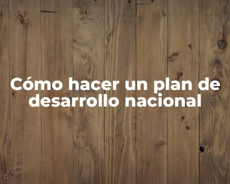 Cómo hacer un plan de desarrollo nacional