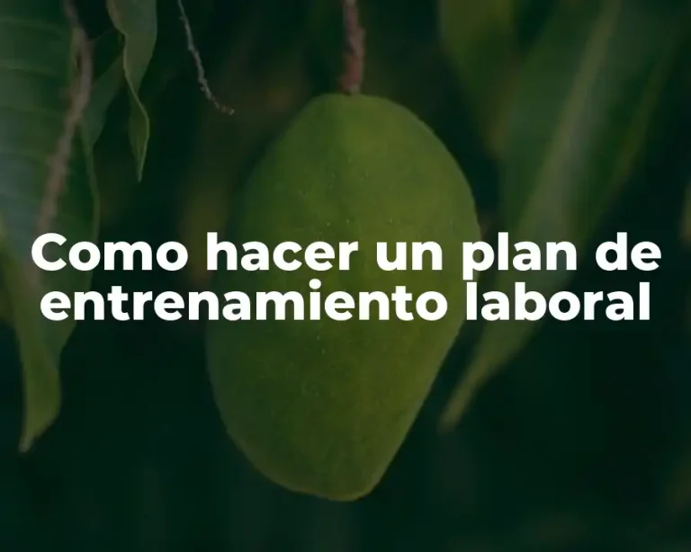 Como hacer un plan de entrenamiento laboral