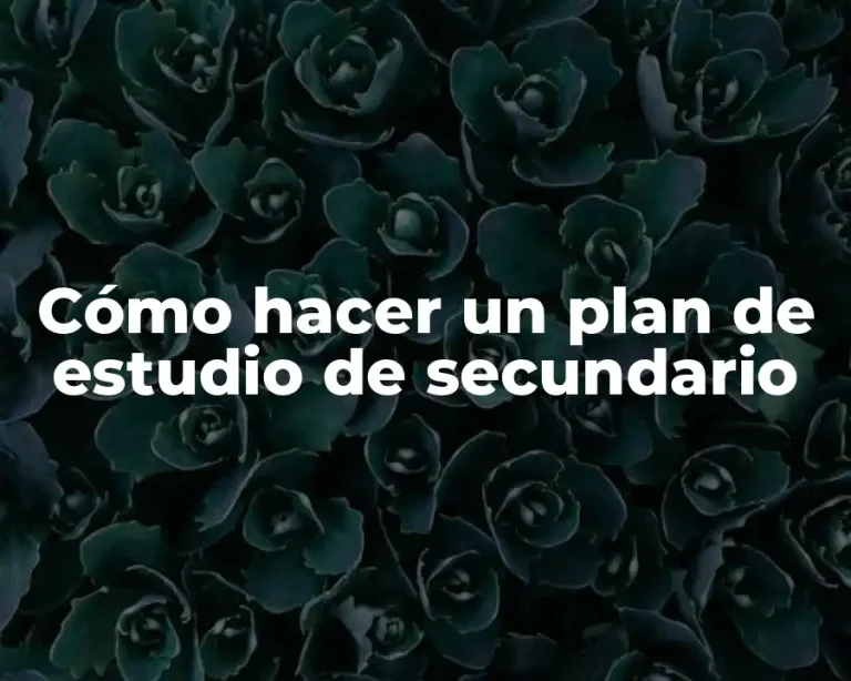 Cómo hacer un plan de estudio de secundario