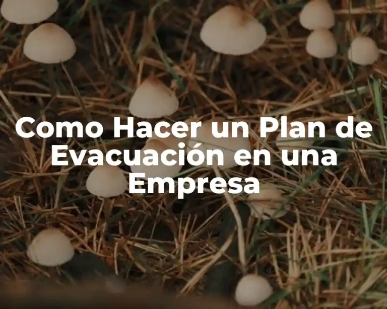 Como Hacer un Plan de Evacuación en una Empresa