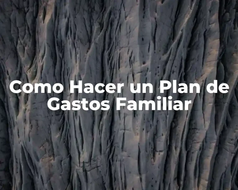 Como Hacer un Plan de Gastos Familiar