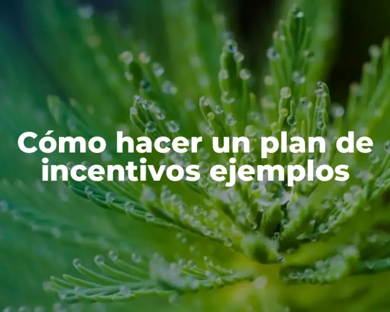 Cómo hacer un plan de incentivos ejemplos
