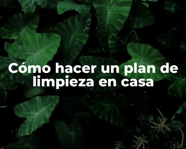 Cómo hacer un plan de limpieza en casa