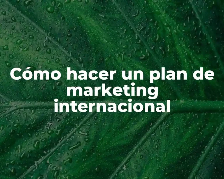 Cómo hacer un plan de marketing internacional