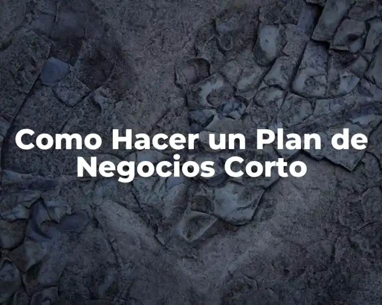 Como Hacer un Plan de Negocios Corto