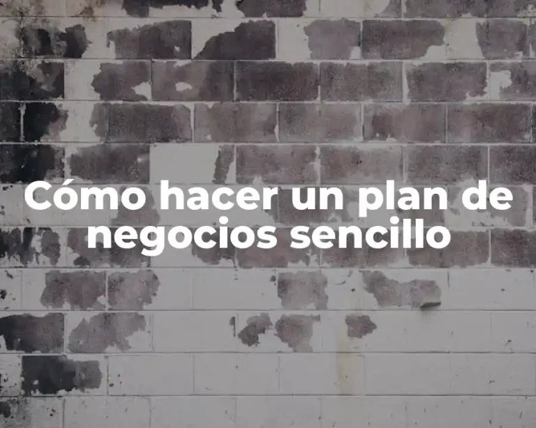 Cómo hacer un plan de negocios sencillo